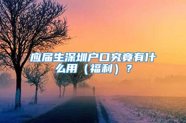 应届生深圳户口究竟有什么用（福利）？