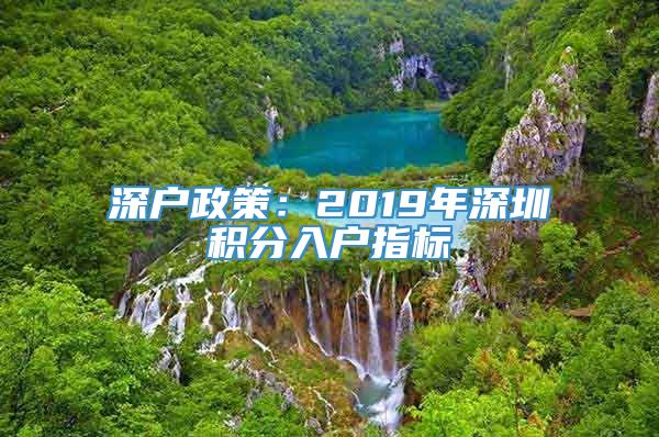 深户政策：2019年深圳积分入户指标