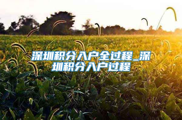 深圳积分入户全过程_深圳积分入户过程