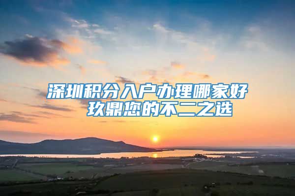 深圳积分入户办理哪家好  玖鼎您的不二之选