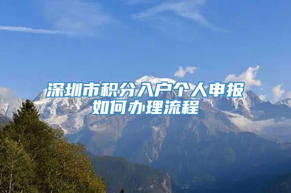 深圳市积分入户个人申报如何办理流程