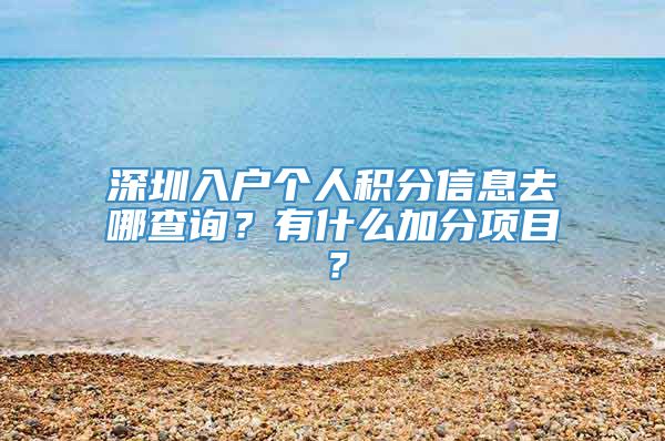 深圳入户个人积分信息去哪查询？有什么加分项目？