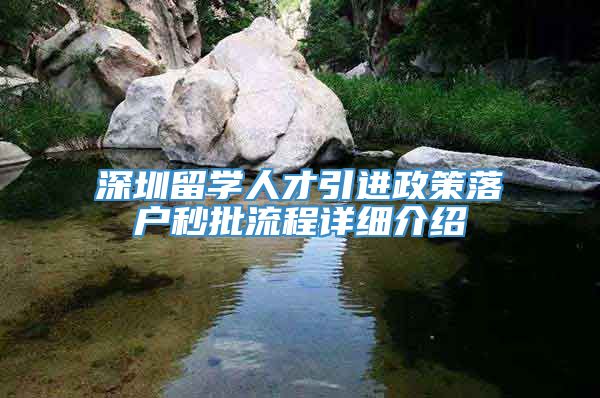 深圳留学人才引进政策落户秒批流程详细介绍