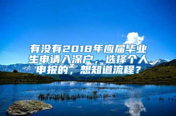 有没有2018年应届毕业生申请入深户，选择个人申报的，想知道流程？