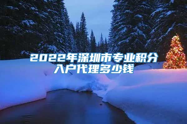 2022年深圳市专业积分入户代理多少钱