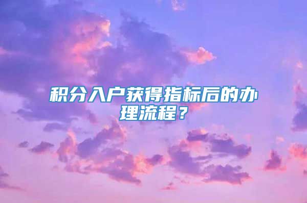 积分入户获得指标后的办理流程？