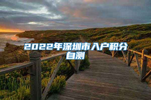 2022年深圳市入户积分自测