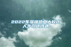 2022年深圳哈工大校区人才引进待遇