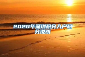 2020年深圳积分入户积分说明