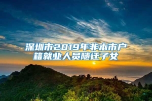 深圳市2019年非本市户籍就业人员随迁子女