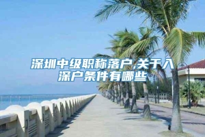 深圳中级职称落户,关于入深户条件有哪些