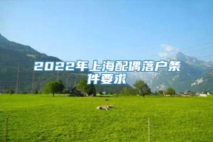 2022年上海配偶落户条件要求