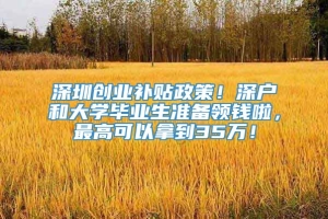 深圳创业补贴政策！深户和大学毕业生准备领钱啦，最高可以拿到35万！