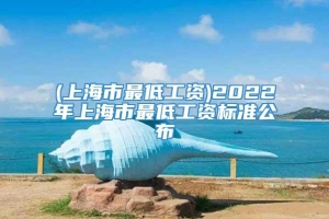 (上海市最低工资)2022年上海市最低工资标准公布