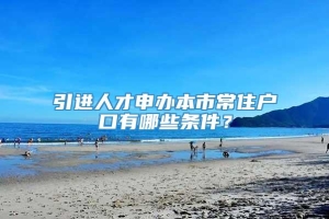 引进人才申办本市常住户口有哪些条件？