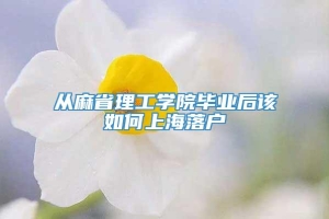 从麻省理工学院毕业后该如何上海落户