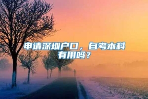 申请深圳户口，自考本科有用吗？