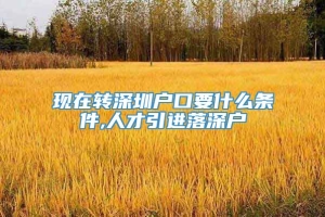 现在转深圳户口要什么条件,人才引进落深户