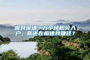 应对深圳一万个纯积分入户，你还在痴迷找捷径？