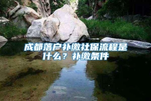 成都落户补缴社保流程是什么？补缴条件