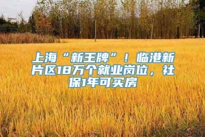 上海“新王牌”！临港新片区18万个就业岗位，社保1年可买房