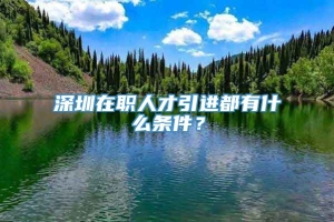 深圳在职人才引进都有什么条件？