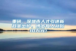 重磅，深圳市人才引进新政策出炉，博士每人补贴10万元！