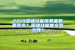 2019深圳社保缴费基数是多少？深圳社保要交多少钱？