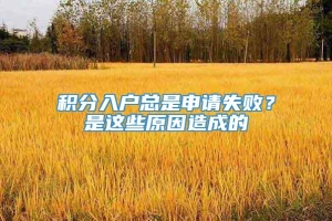 积分入户总是申请失败？是这些原因造成的