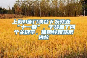 上海11部门联合下发就业“十一条”，干货多了两个关键字，保障性租赁房进校