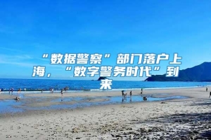 “数据警察”部门落户上海，“数字警务时代”到来