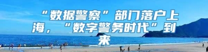 “数据警察”部门落户上海，“数字警务时代”到来