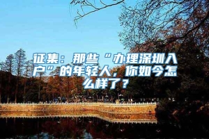 征集：那些“办理深圳入户”的年轻人，你如今怎么样了？