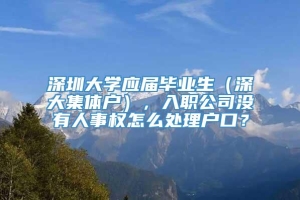 深圳大学应届毕业生（深大集体户），入职公司没有人事权怎么处理户口？