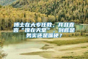 博士在大专任教，并且直言“像在天堂”，到底是务实还是嘴硬？