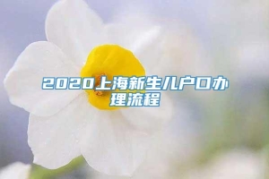 2020上海新生儿户口办理流程