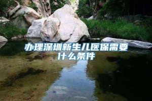 办理深圳新生儿医保需要什么条件