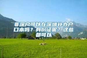 非深户可以在深圳补办户口本吗？身份证呢？这些都可以