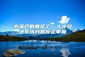 办深户的抓紧了！人才引进系统月底停止申报