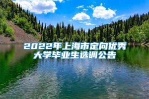 2022年上海市定向优秀大学毕业生选调公告