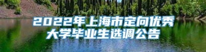 2022年上海市定向优秀大学毕业生选调公告