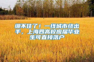 绷不住了！一线城市终出手，上海四高校应届毕业生可直接落户