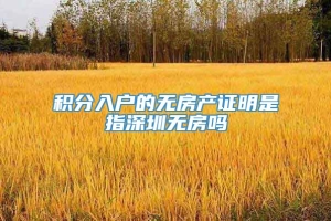 积分入户的无房产证明是指深圳无房吗