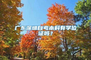 广东深圳自考本科有学位证吗？