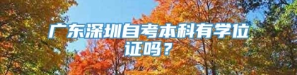 广东深圳自考本科有学位证吗？