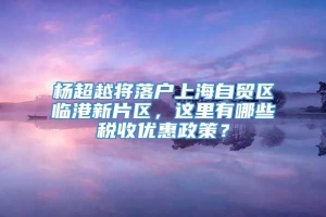 杨超越将落户上海自贸区临港新片区，这里有哪些税收优惠政策？