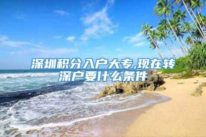 深圳积分入户大专,现在转深户要什么条件