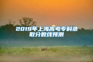 2019年上海高考专科录取分数线预测