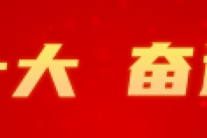 「喜迎二十大 奋进新征程」浦东着力打造国际人才发展引领区！