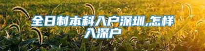 全日制本科入户深圳,怎样入深户